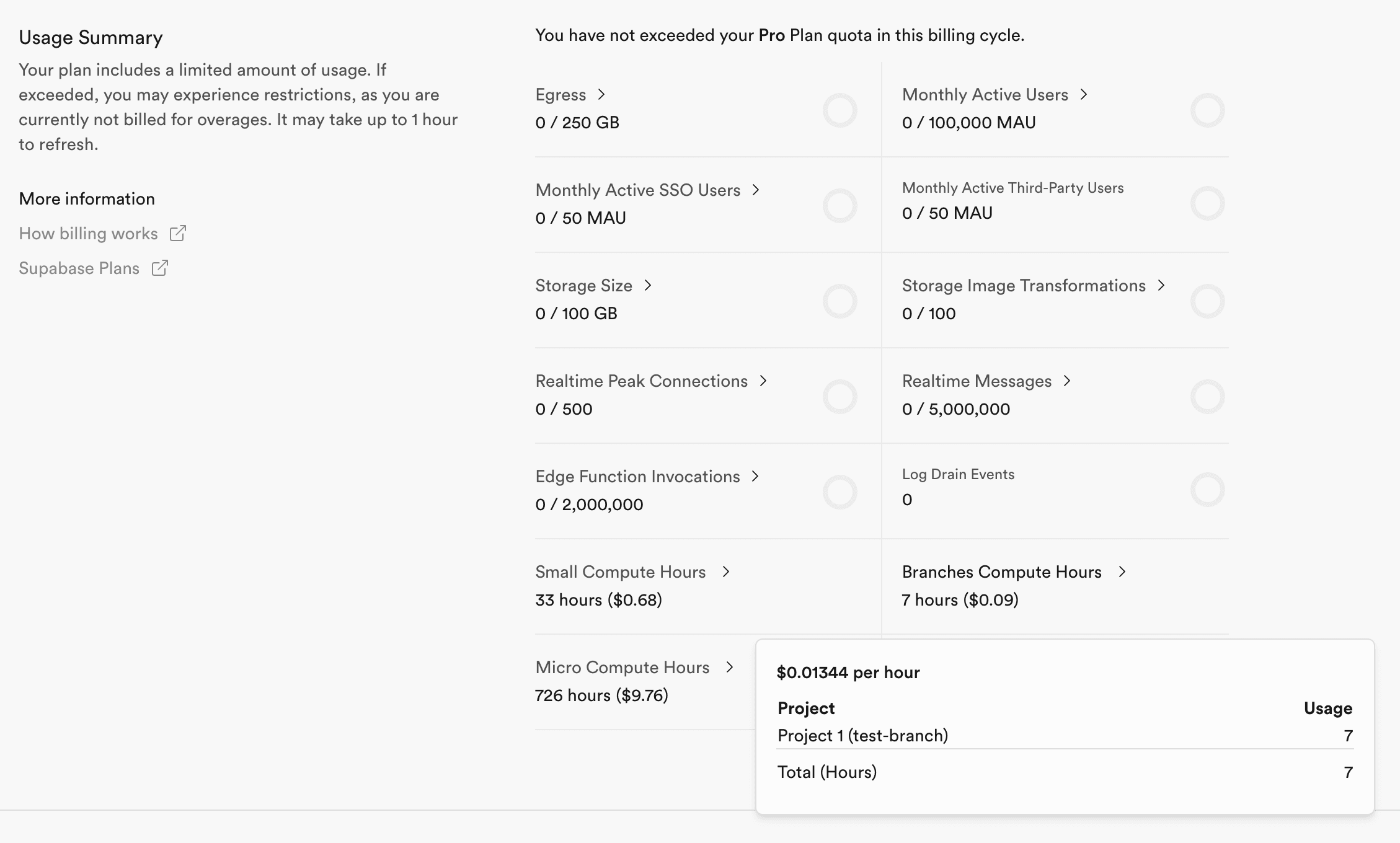 Usage summary Branching Compute Hours